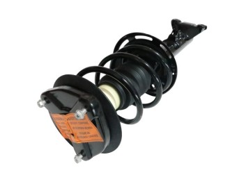 Suspension Strut and Coil Spring Assembly