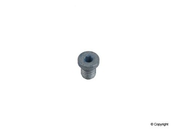 Engine Oil Drain Plug