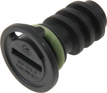 Engine Oil Drain Plug