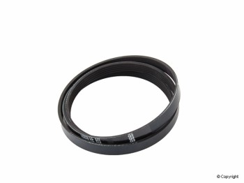 Serpentine Belt