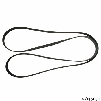 Serpentine Belt