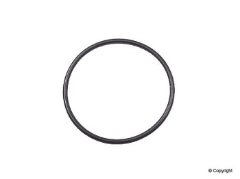 Fuel Injection Fuel Distributor O-Ring