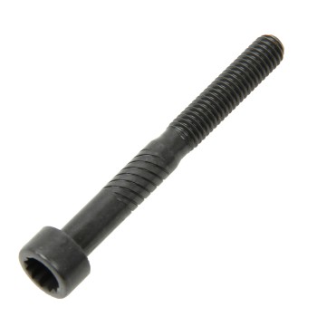 Engine Camshaft Cap Bolt