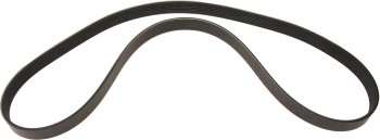 Serpentine Belt