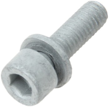 Fuel Pump Injection Bolt