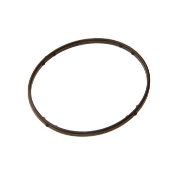 Engine Coolant Thermostat Seal