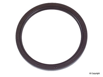 Engine Crankshaft Seal
