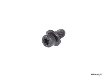 Engine Camshaft Bolt