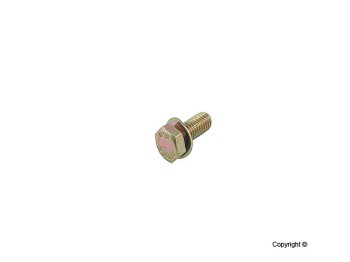Engine Water Pump Bolt