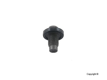 Engine Oil Drain Plug