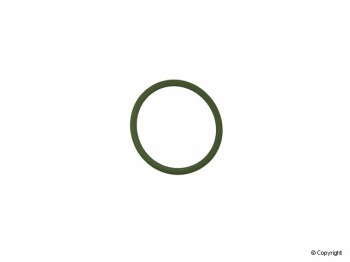 Engine Timing Cover O-Ring