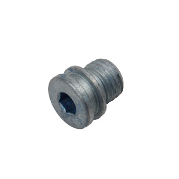 Engine Oil Drain Plug