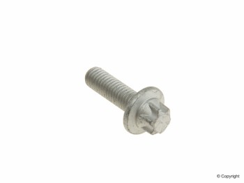 Engine Water Pump Bolt