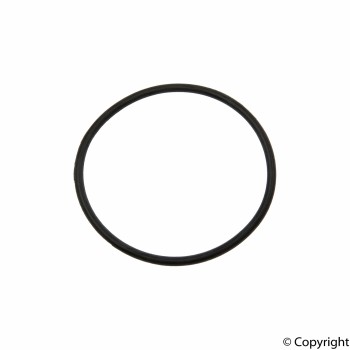 Power Brake Booster Vacuum Pump Seal