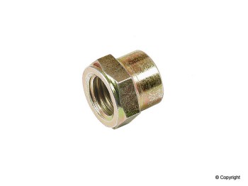 Fuel Pump Cap Nut