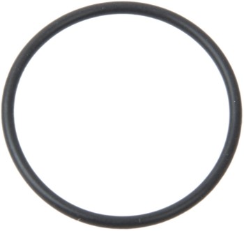 Fuel Pump O-Ring