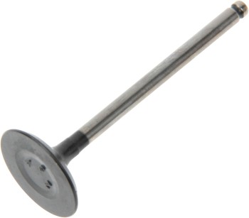 Engine Intake Valve