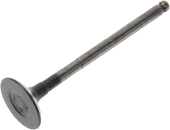 Engine Exhaust Valve