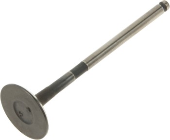 Engine Exhaust Valve