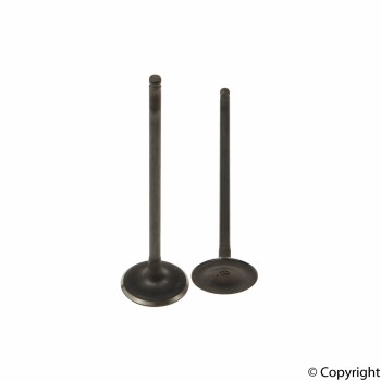 Engine Intake Valve