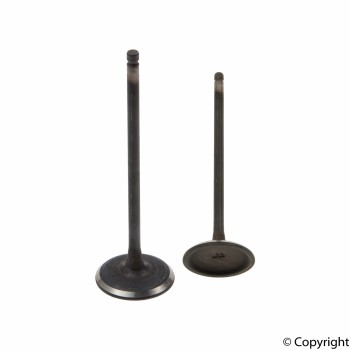 Engine Intake Valve