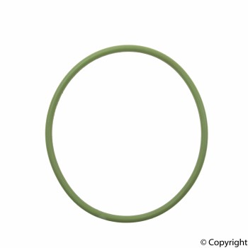 Fuel Pump O-Ring