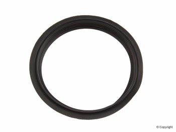 Fuel Pump Seal