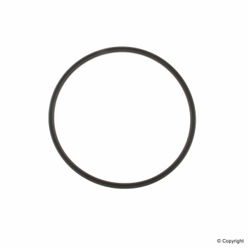 Fuel Tank Sending Unit O-Ring