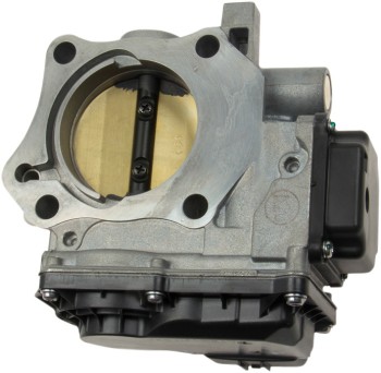 Fuel Injection Throttle Body