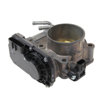 Fuel Injection Throttle Body