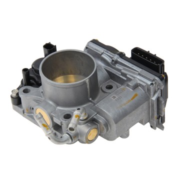 Fuel Injection Throttle Body