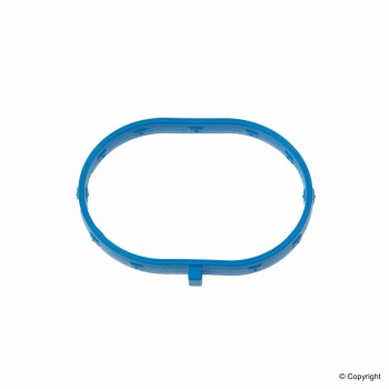 Fuel Injection Plenum Gasket