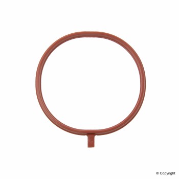 Fuel Injection Plenum Gasket