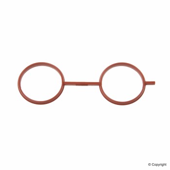 Fuel Injection Plenum Gasket