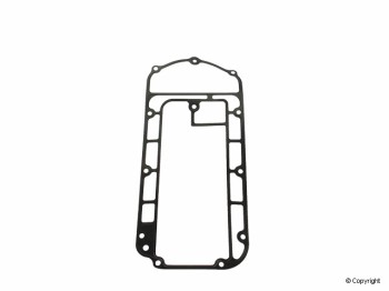 Fuel Injection Plenum Gasket