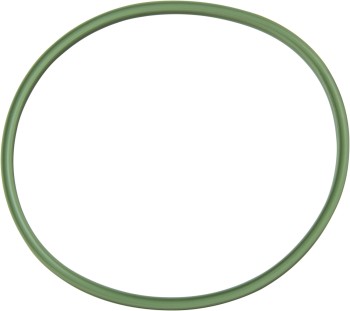 Fuel Filter O-Ring