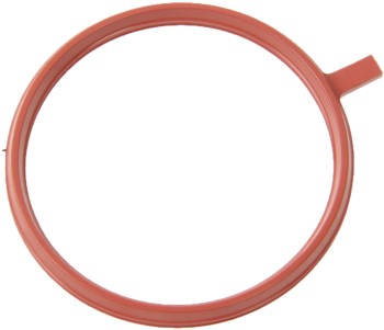 Fuel Injection Plenum Gasket