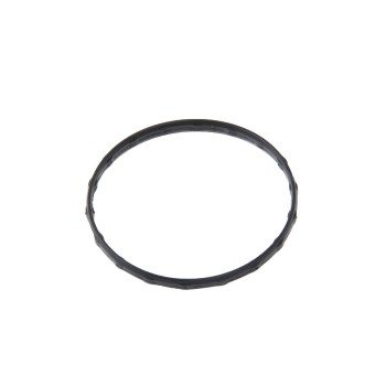 Engine Coolant Thermostat Gasket