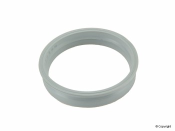Fuel Pump Tank Seal