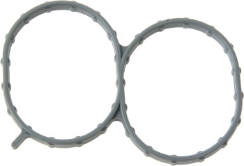 Fuel Injection Plenum Gasket