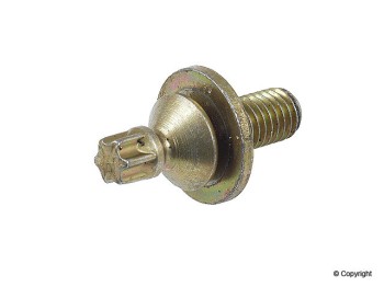 Steering Column Lock Bolt