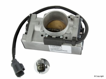 Fuel Injection Throttle Body