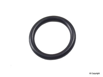 Fuel Filter O-Ring