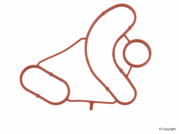 Engine Oil Cooler Gasket