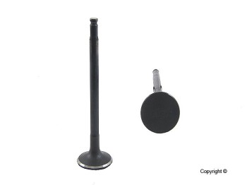 Engine Intake Valve