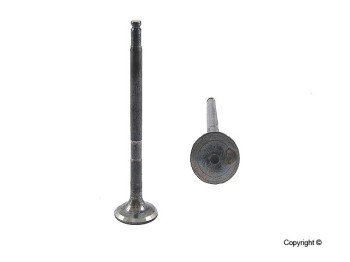 Engine Exhaust Valve