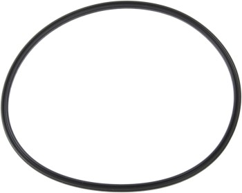 Fuel Pump O-Ring