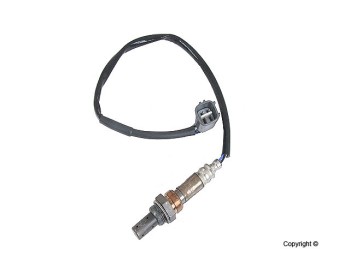 Oxygen Sensor