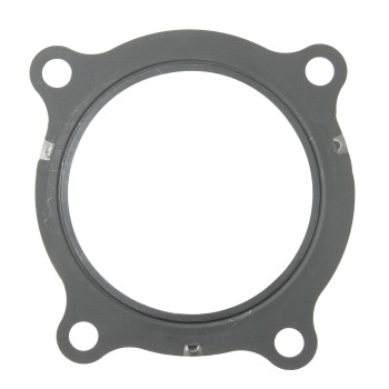 Catalytic Converter Gasket