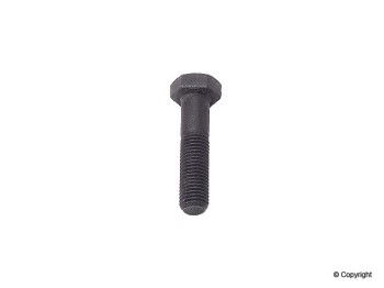 Engine Camshaft Bolt
